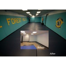 #17805-26-620 LIP   20' PERMANENT  SAF-T-WALL STRUCTURAL PADDING